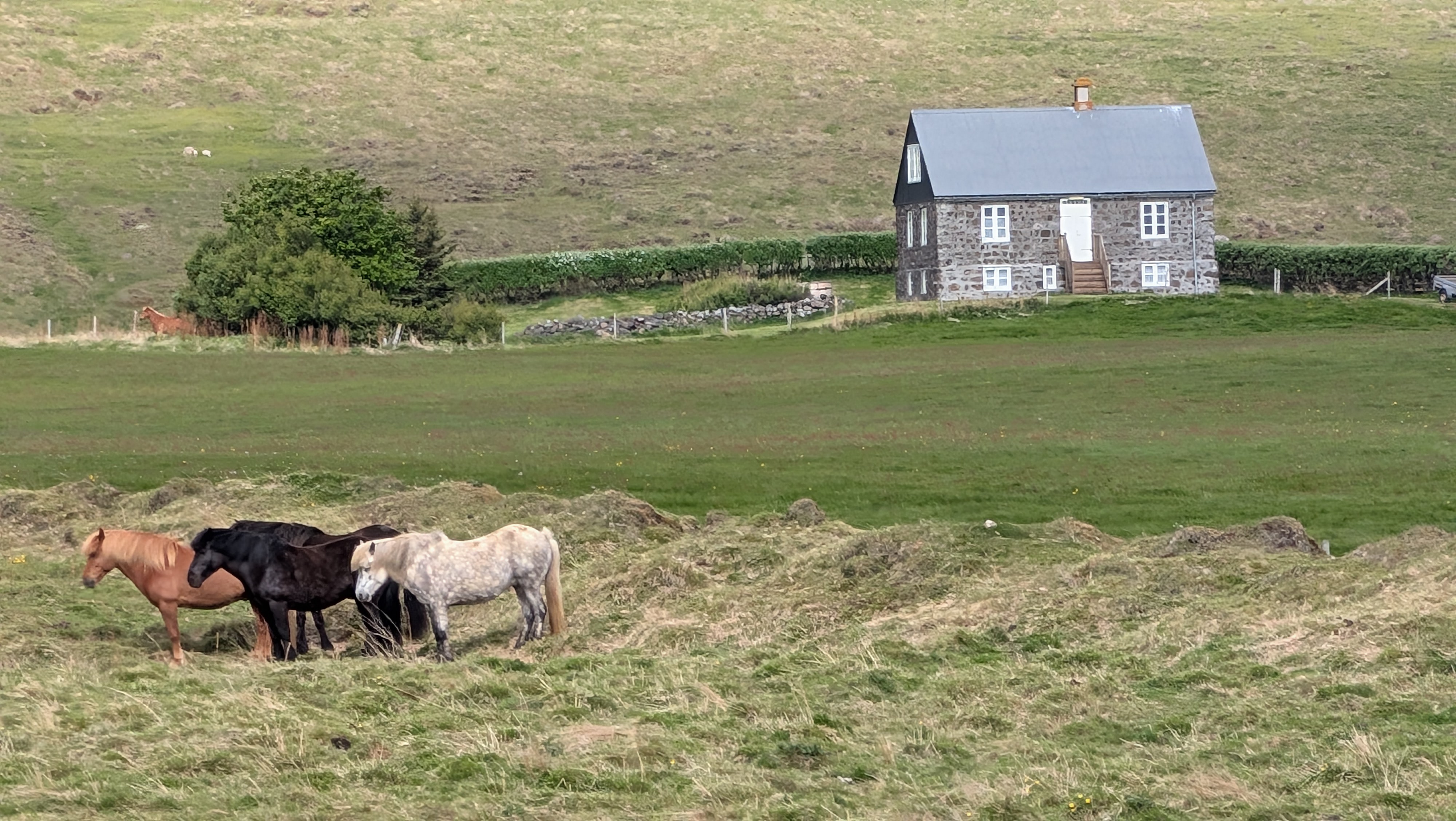 2026 06 20 09 45 38 Hunaing Vestra Island