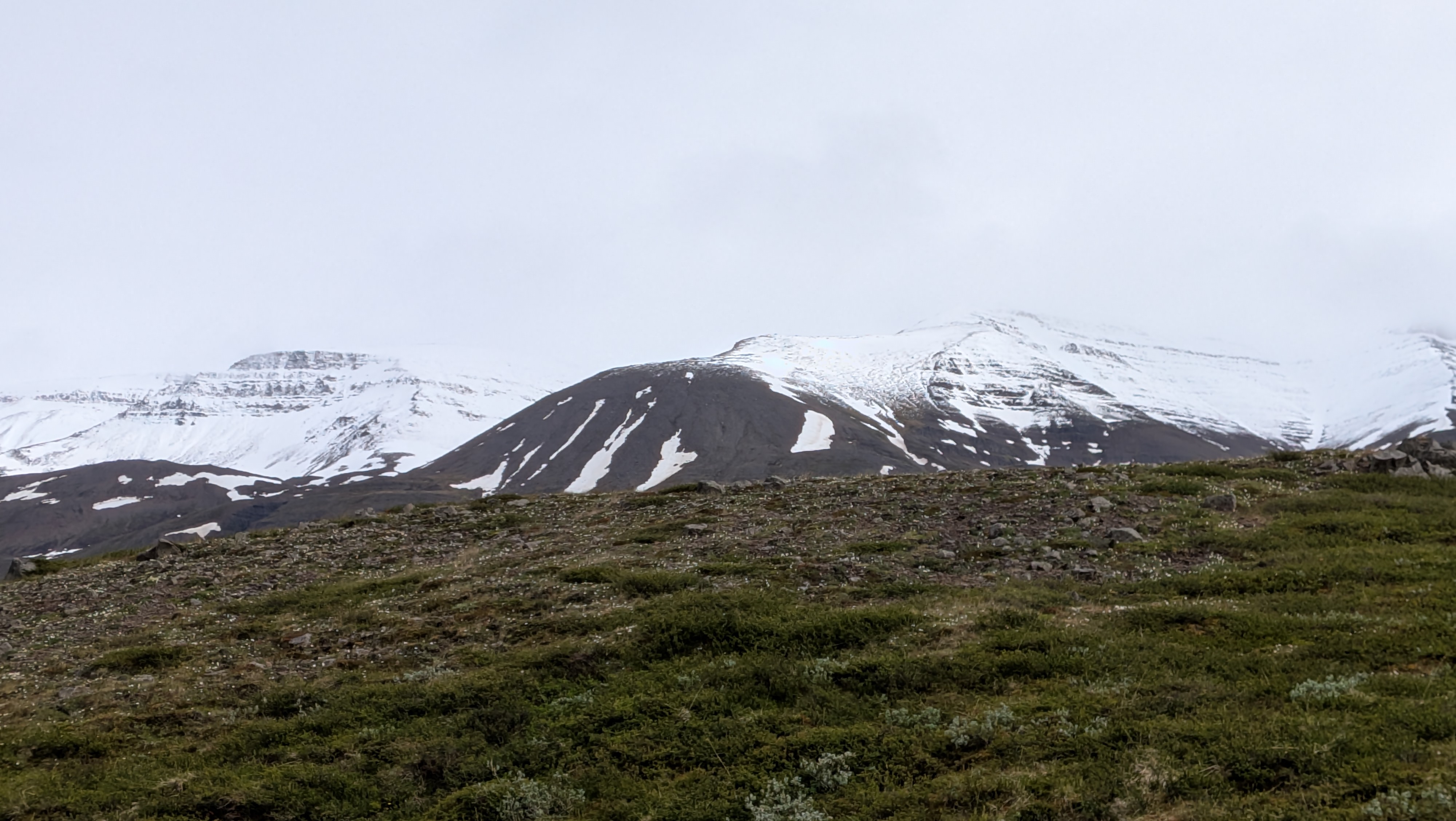 2026 06 20 14 10 55 Horgarsveit Island