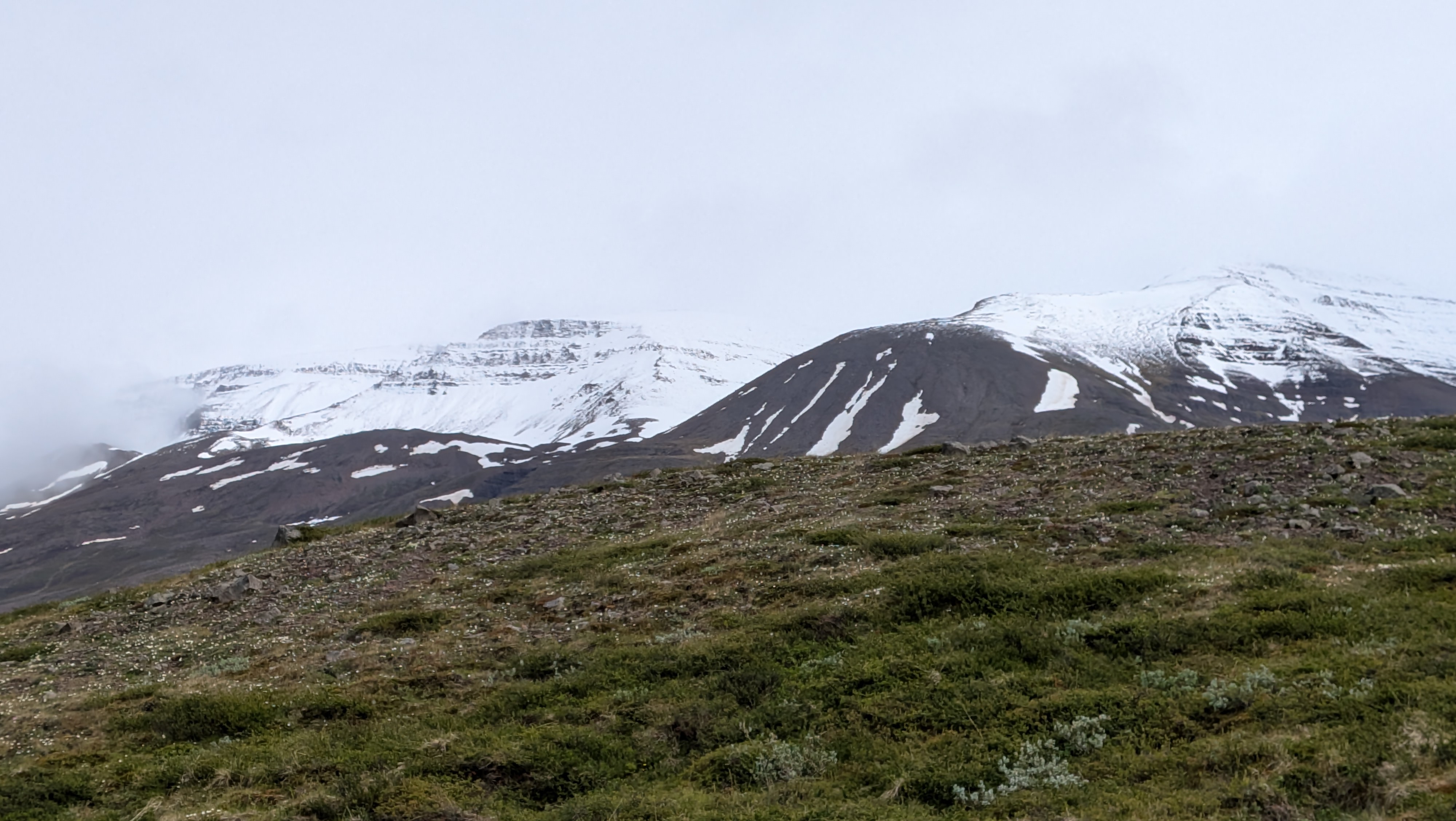 2026 06 20 14 11 00 Horgarsveit Island
