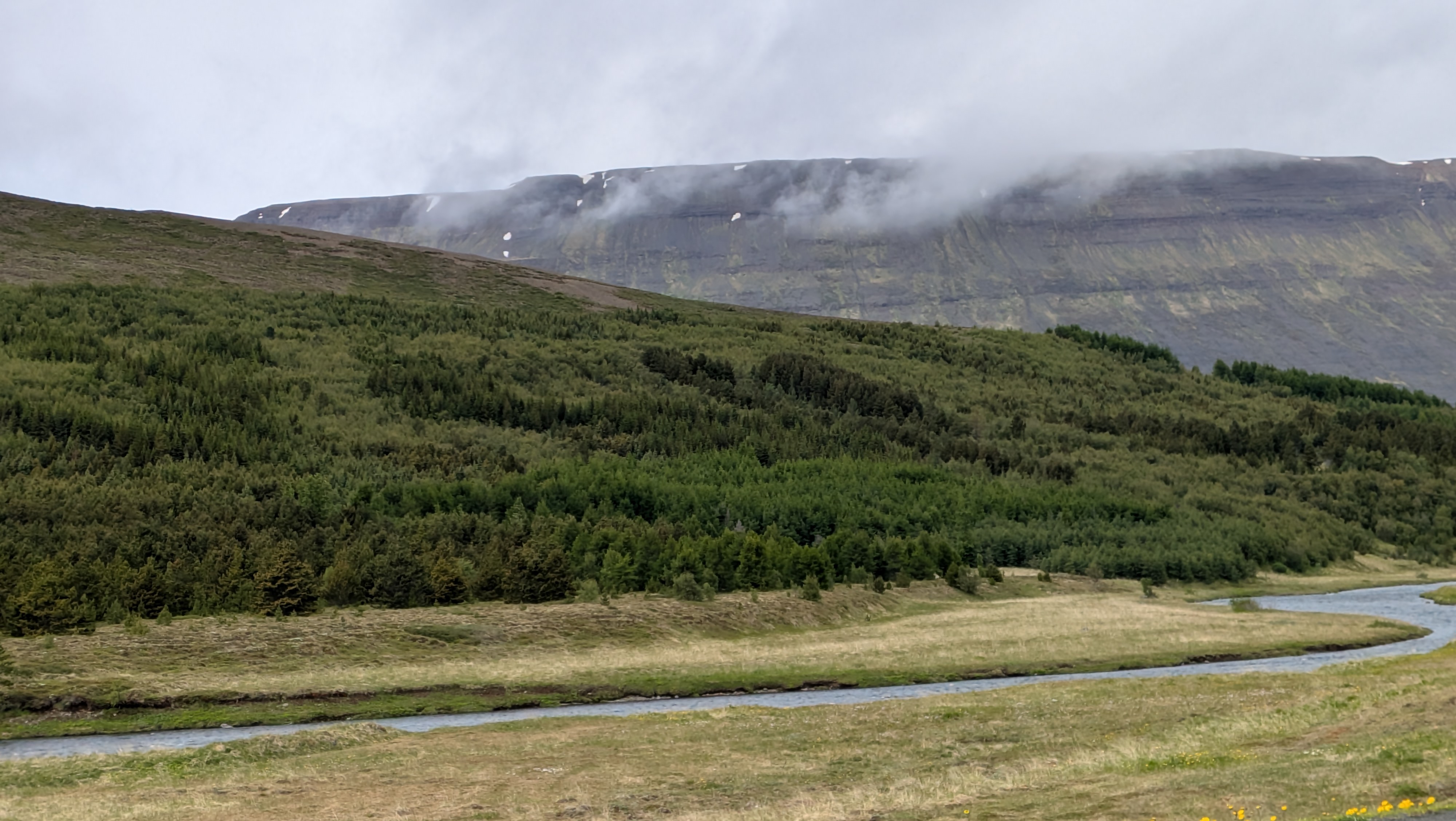 2026 06 20 14 11 15 Horgarsveit Island