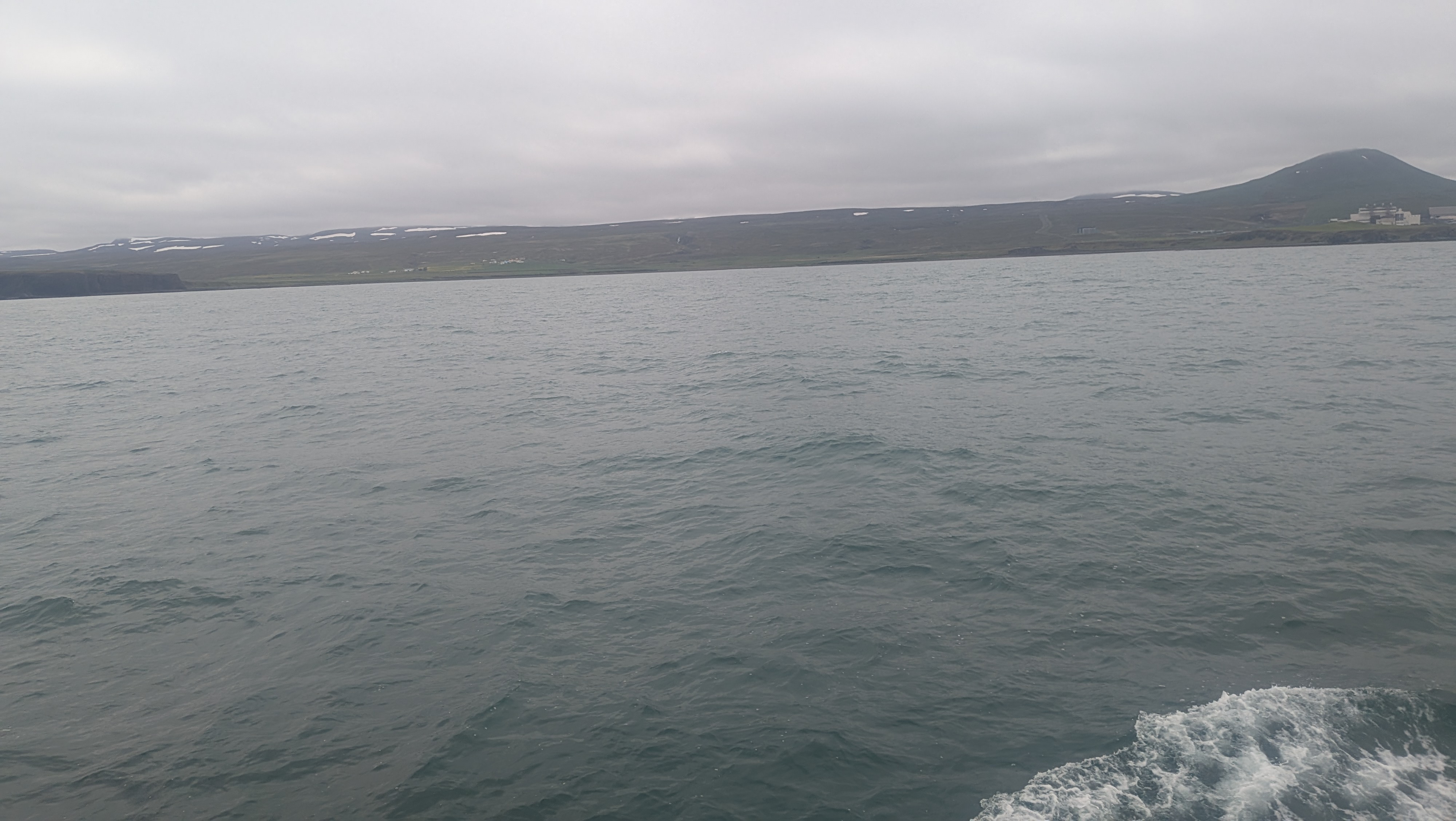 2026 06 21 09 46 58 Island