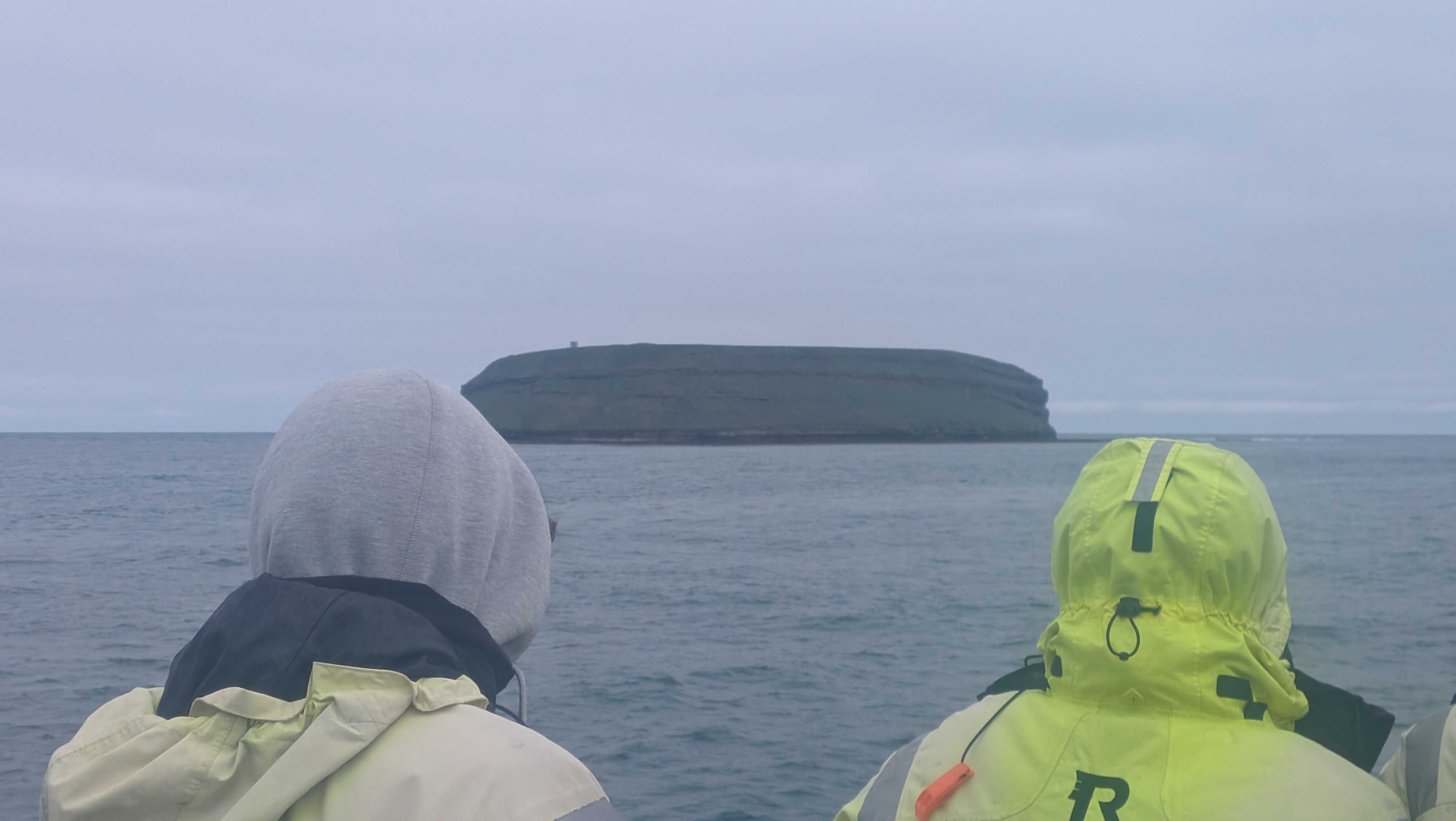 2026 06 21 09 55 43 Island