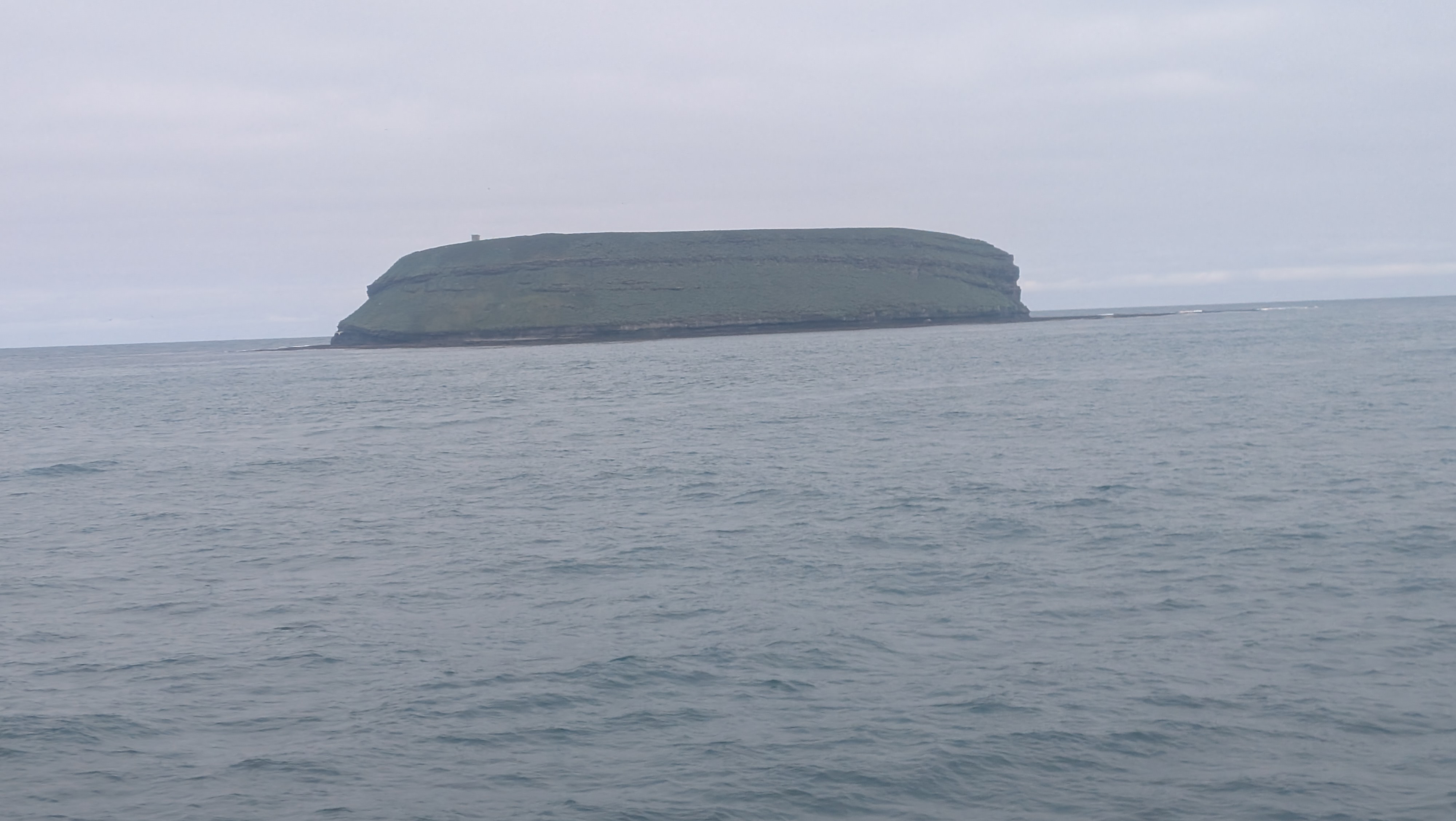 2026 06 21 09 56 08 Island