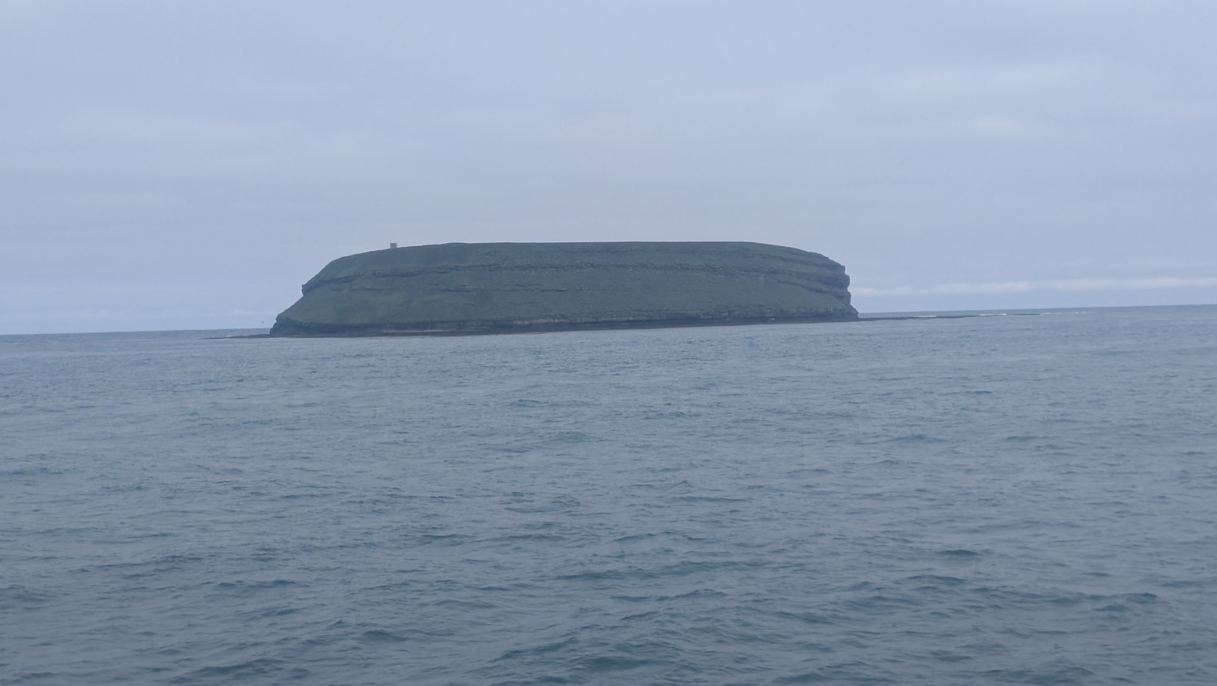 2026 06 21 09 56 10 Island