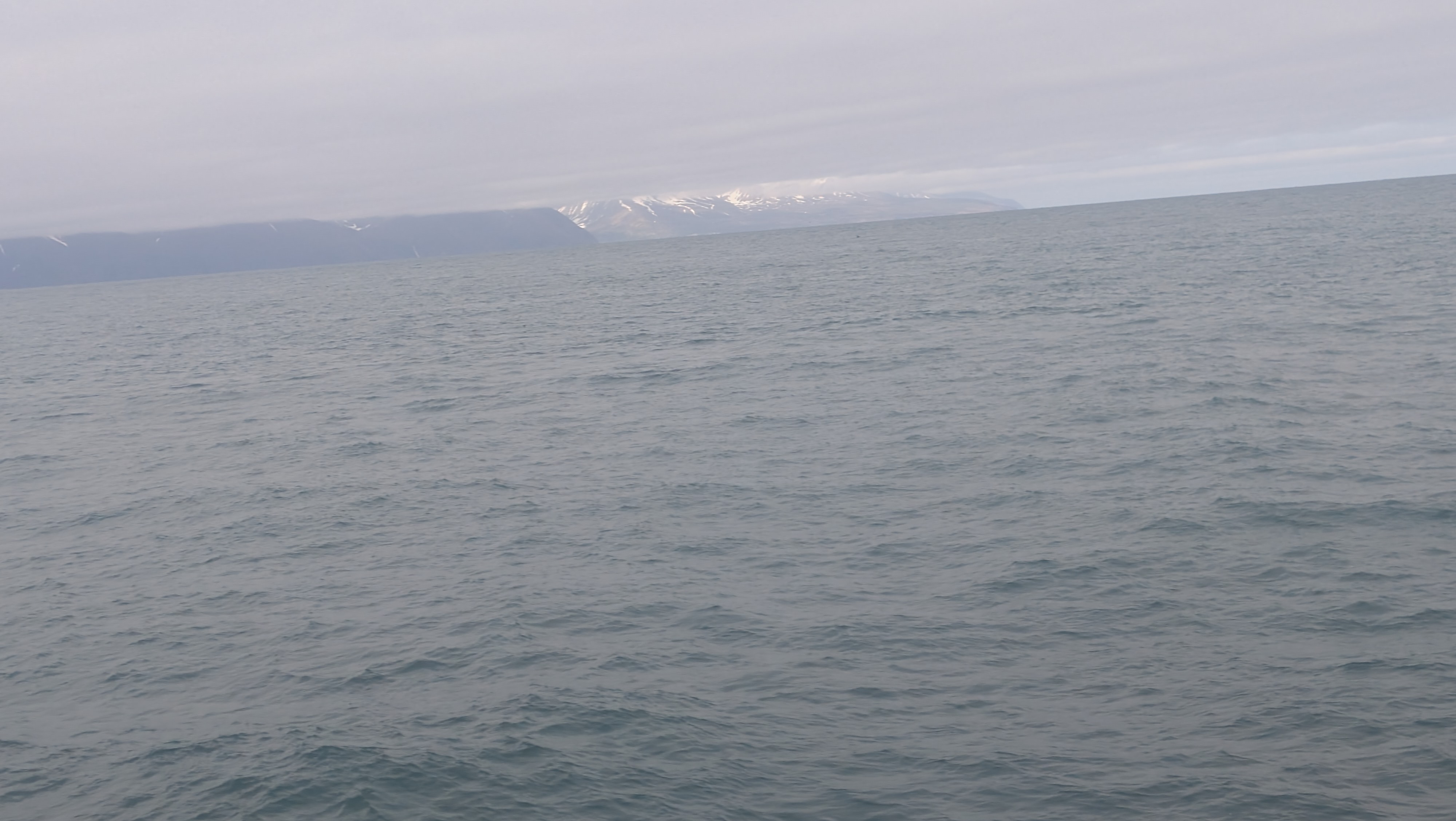 2026 06 21 09 56 38 Island