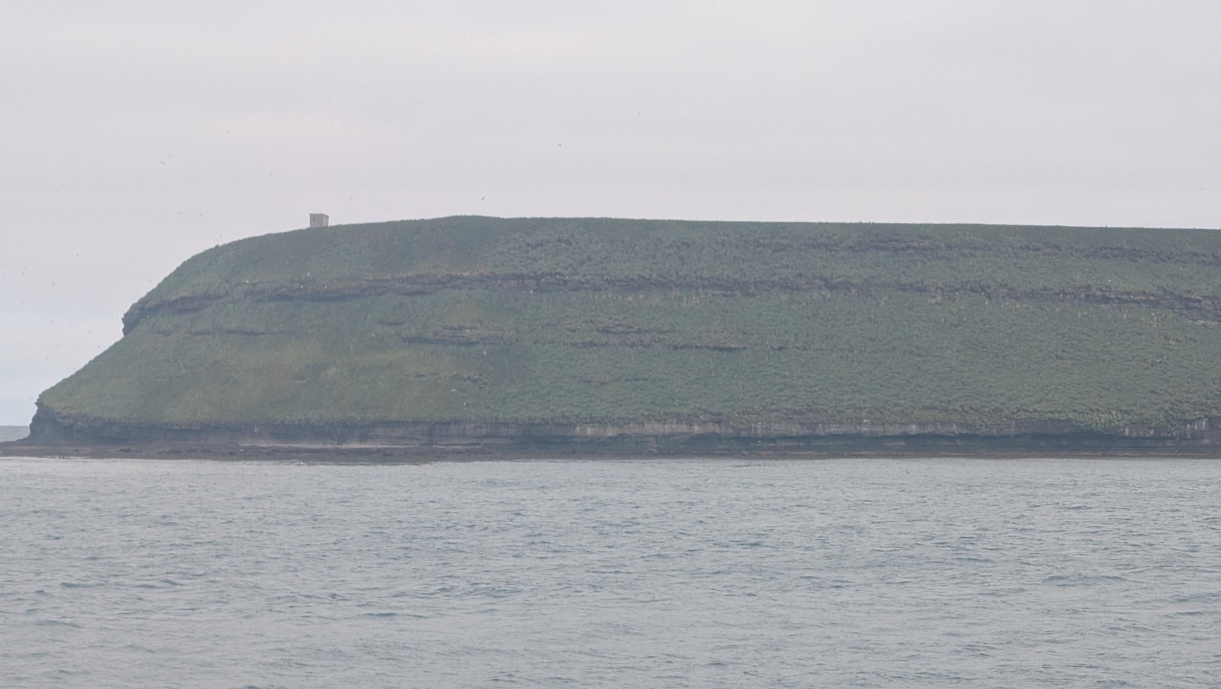 2026 06 21 09 56 47 Island
