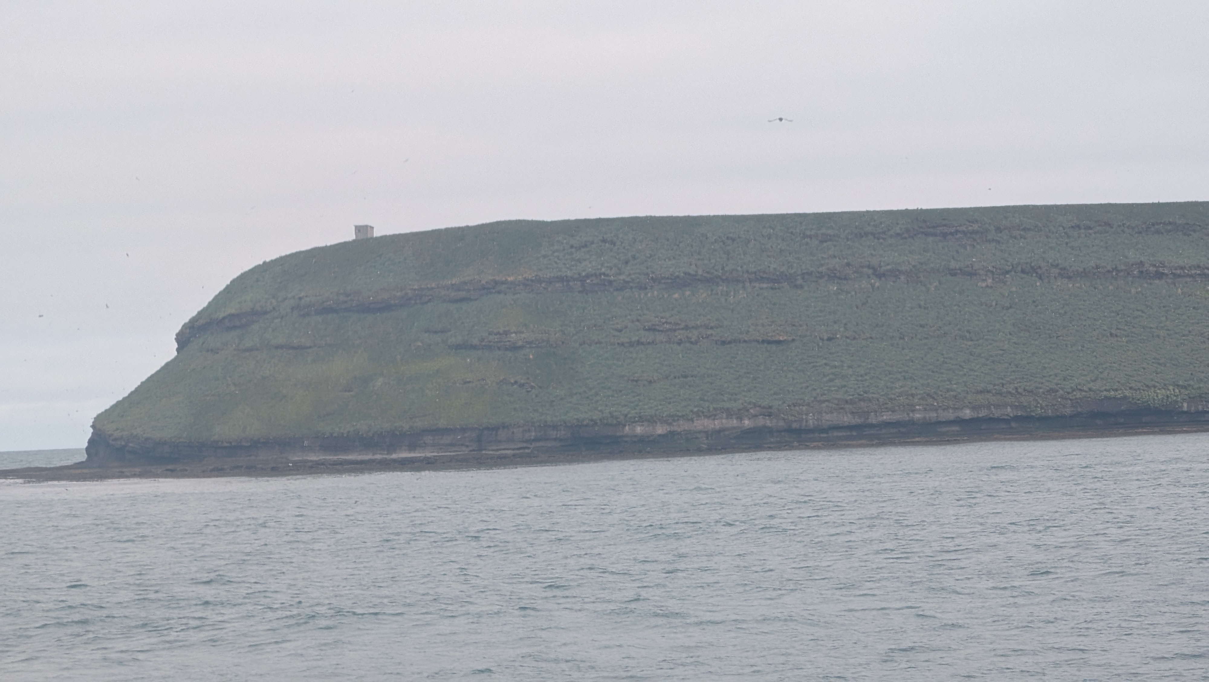 2026 06 21 09 56 51 Island