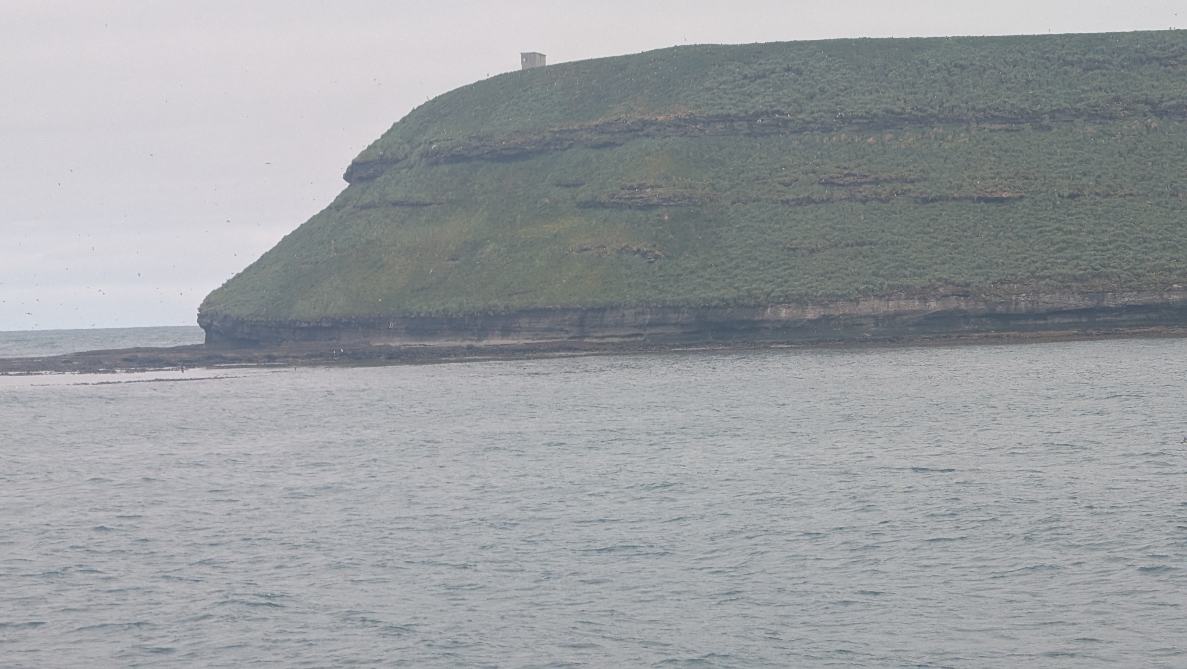 2026 06 21 09 57 48 Island