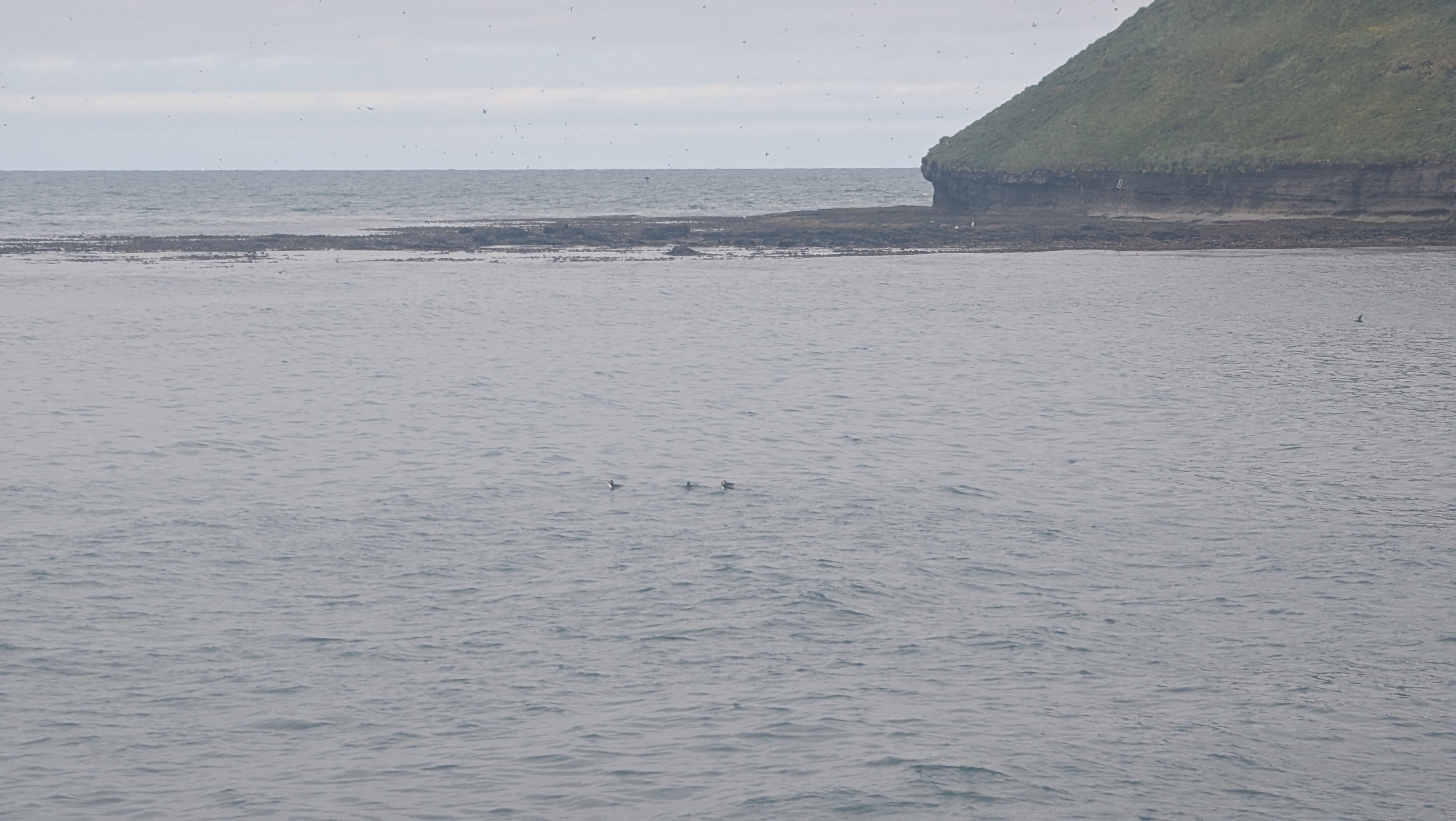 2026 06 21 09 58 52 Island