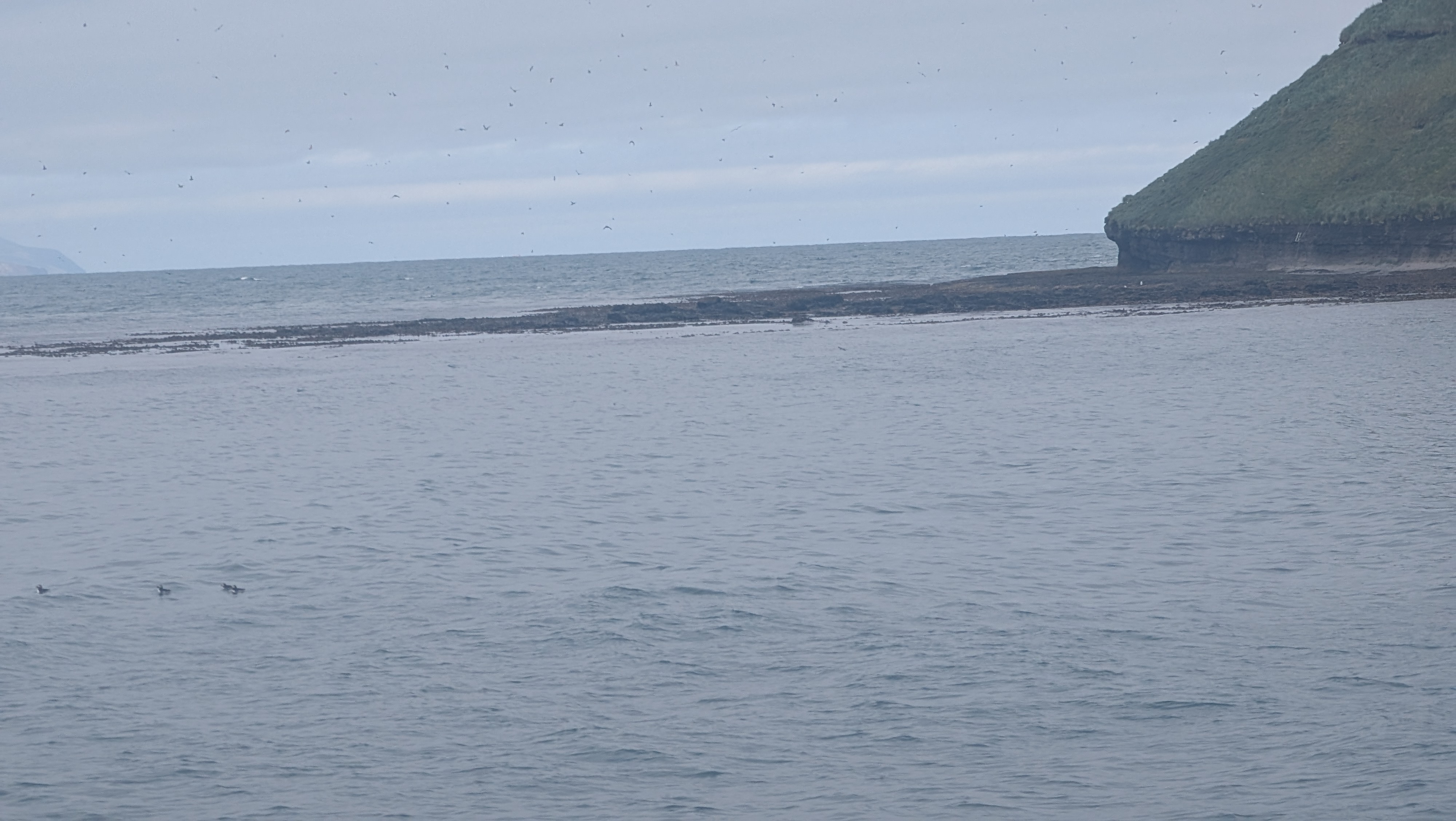 2026 06 21 09 58 59 Island