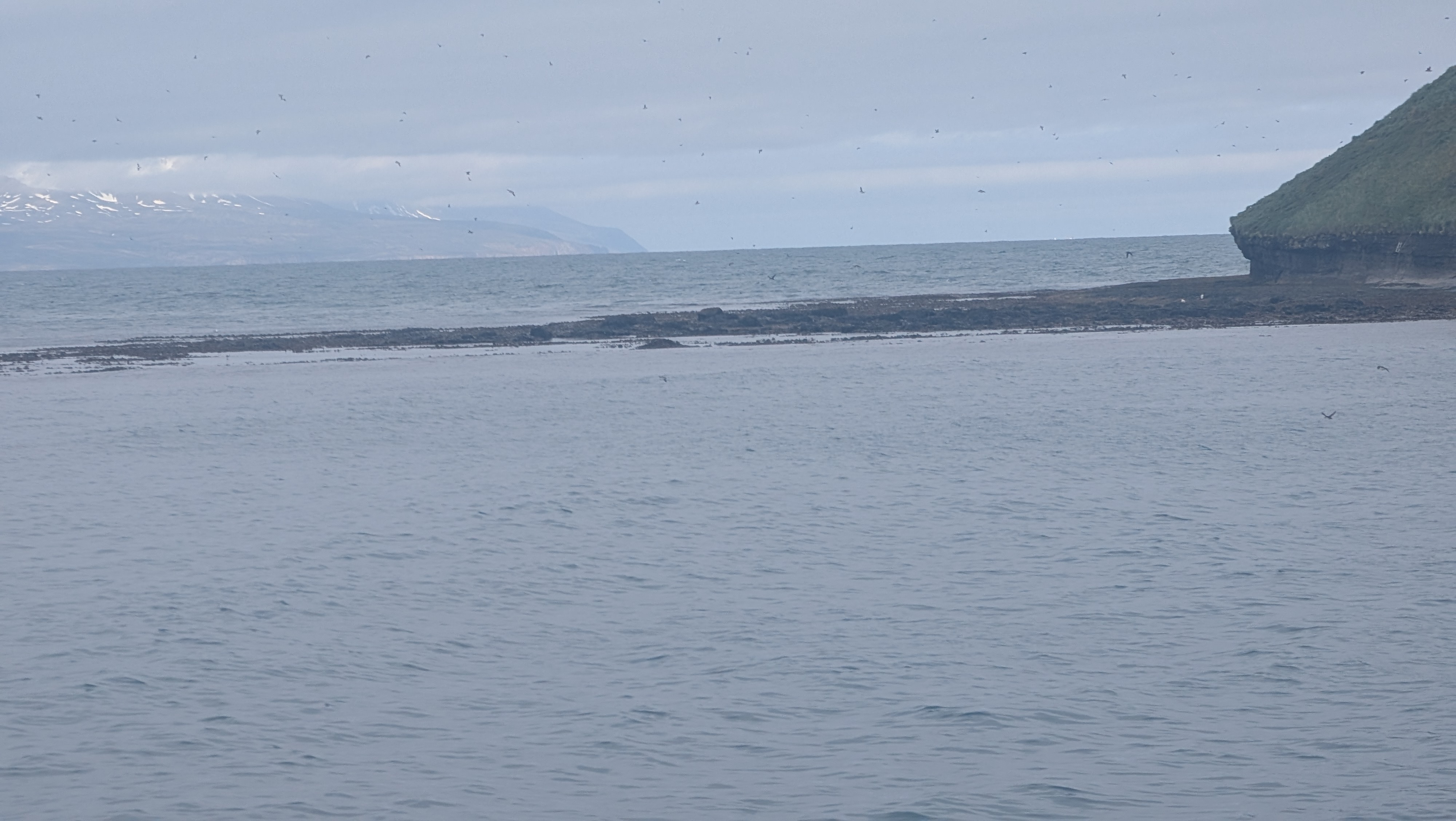 2026 06 21 09 59 28 Island