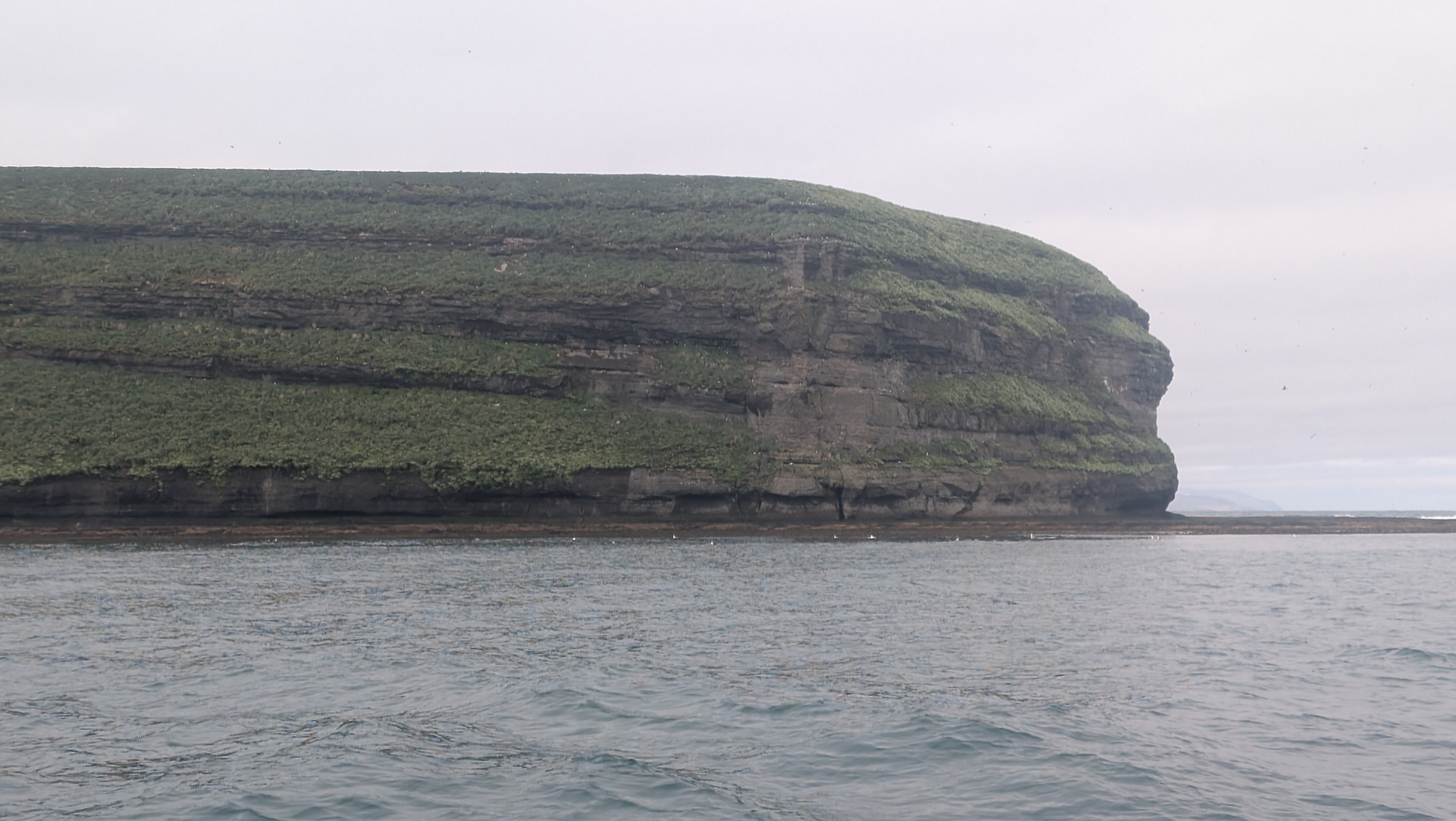 2026 06 21 10 08 08 Island