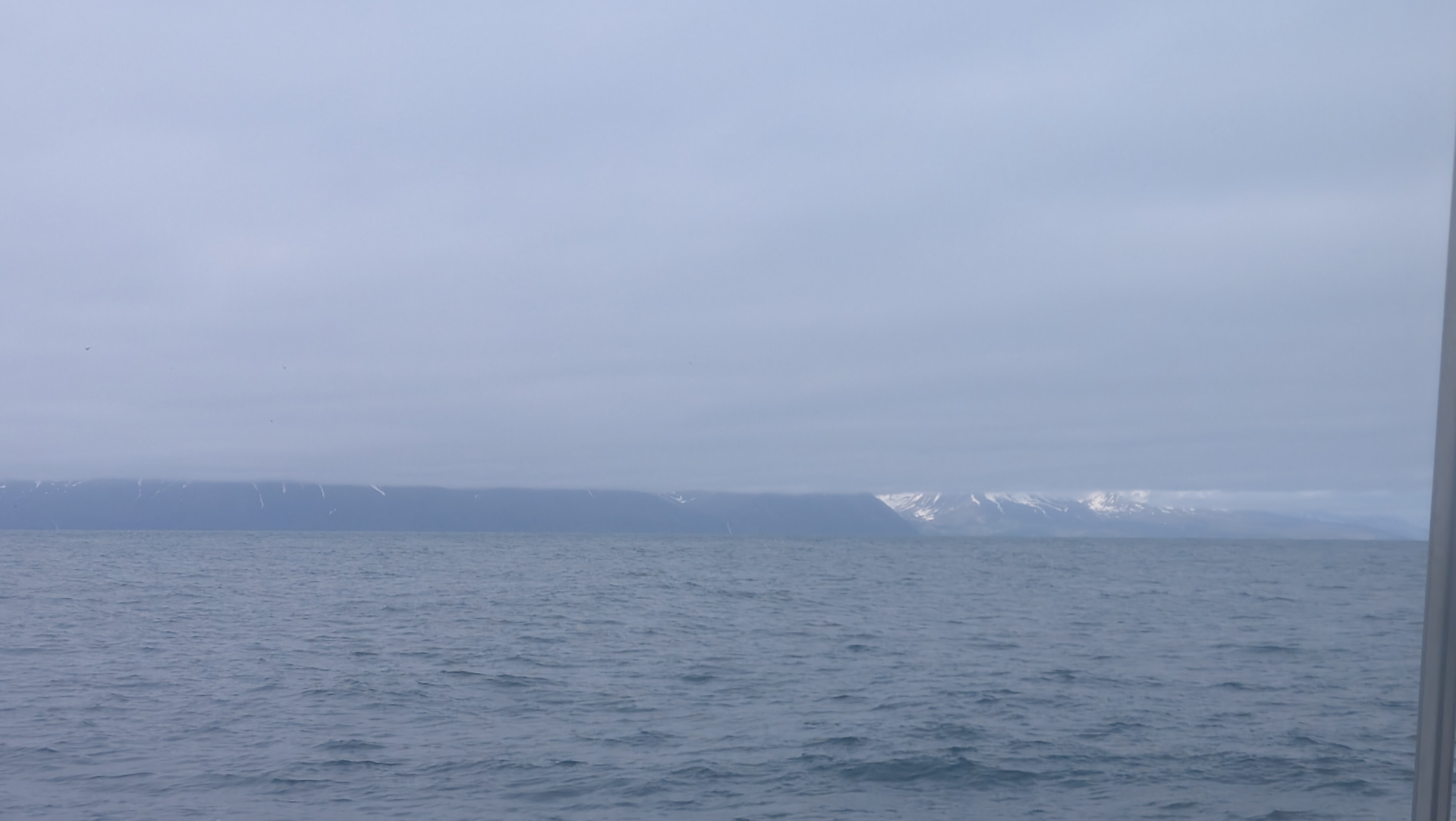 2026 06 21 10 10 15 Island