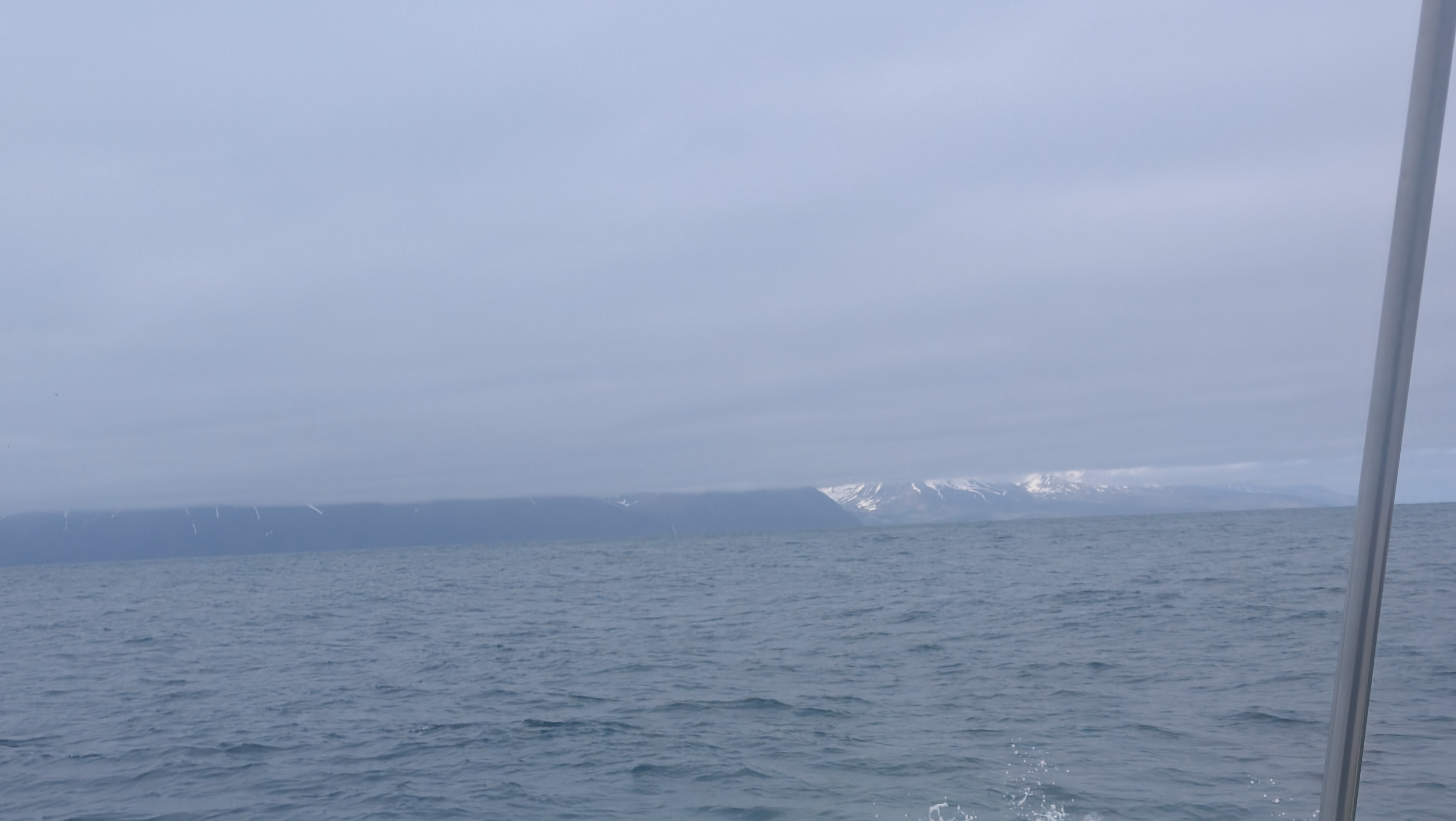 2026 06 21 10 10 16 Island