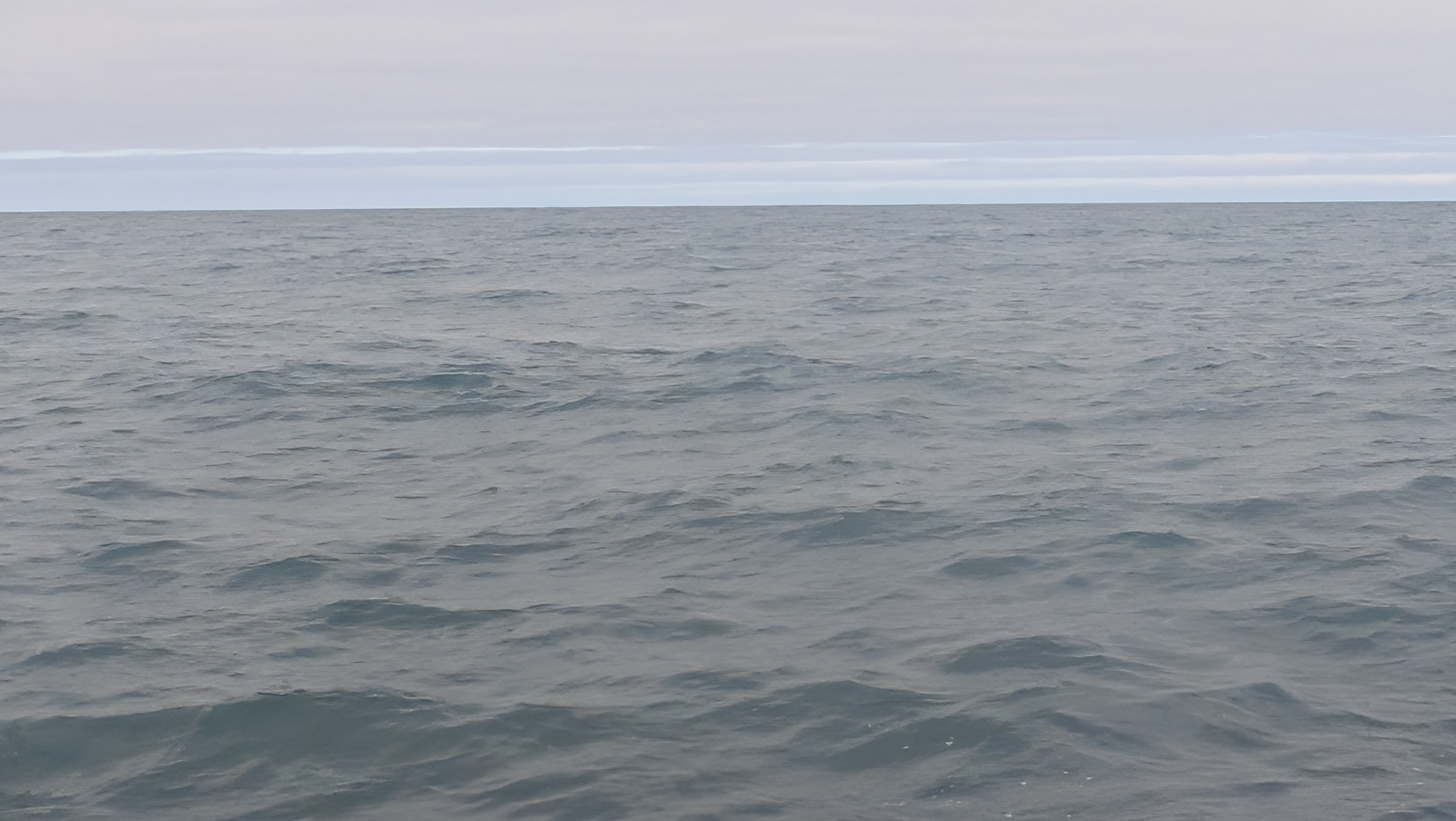 2026 06 21 10 31 30 Island