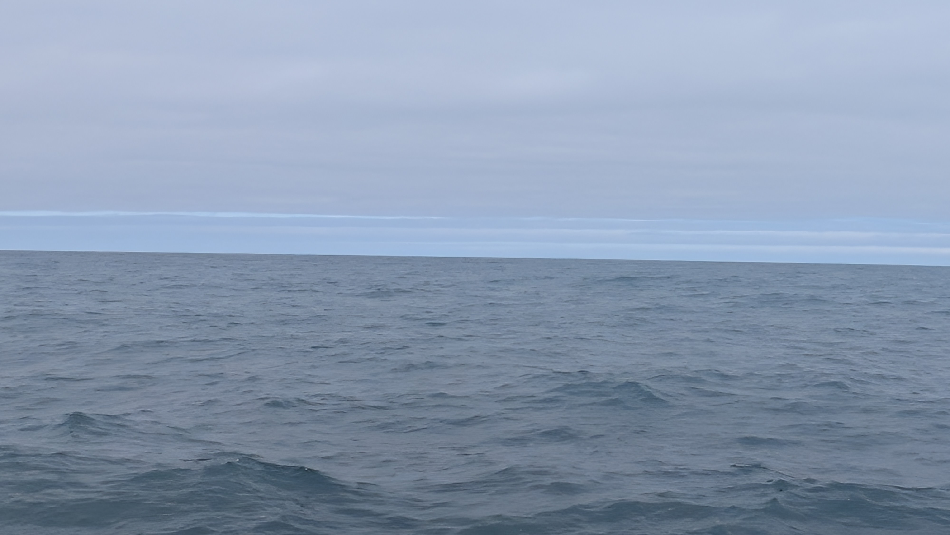 2026 06 21 10 31 33 Island