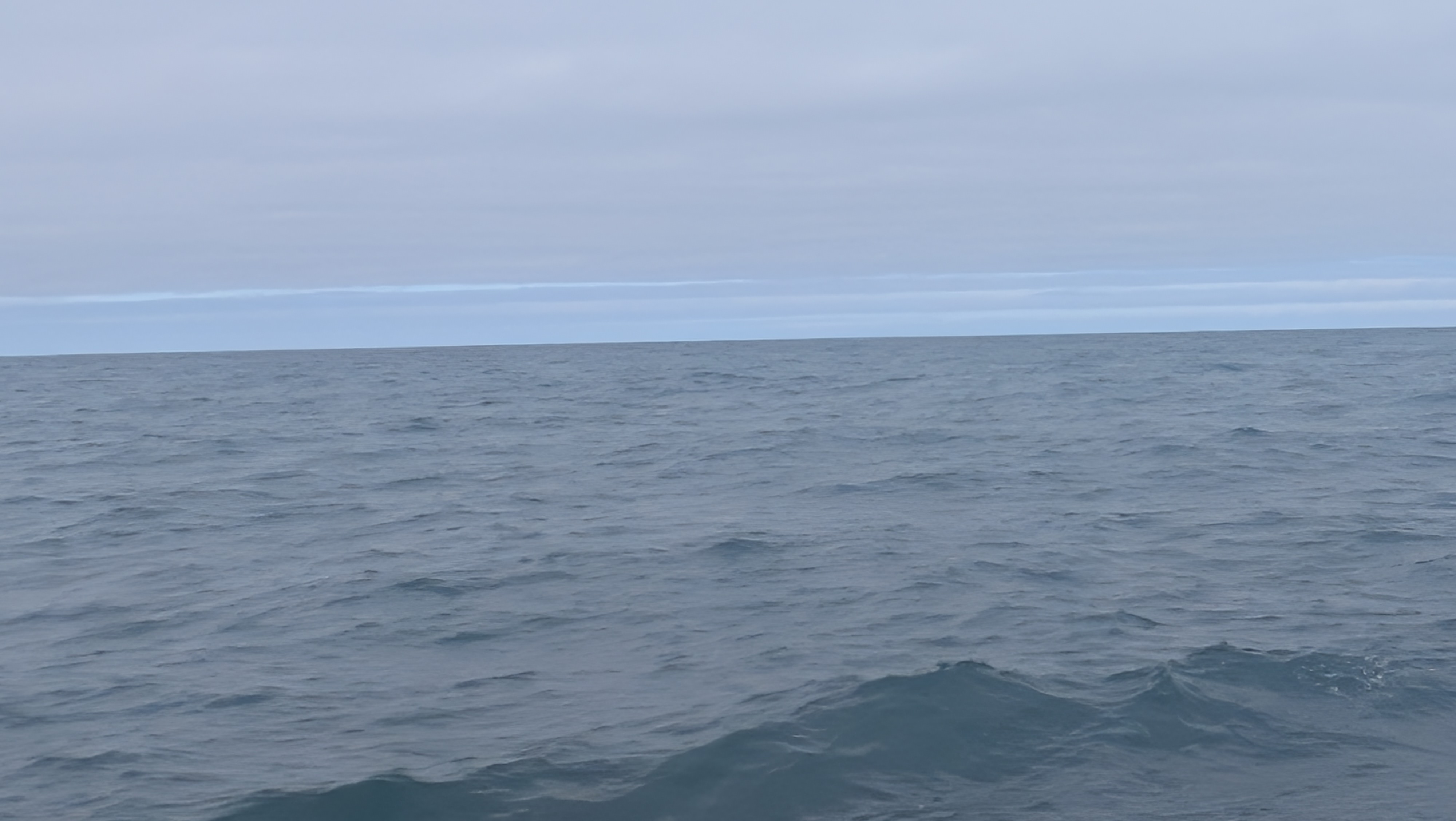 2026 06 21 10 31 38 Island