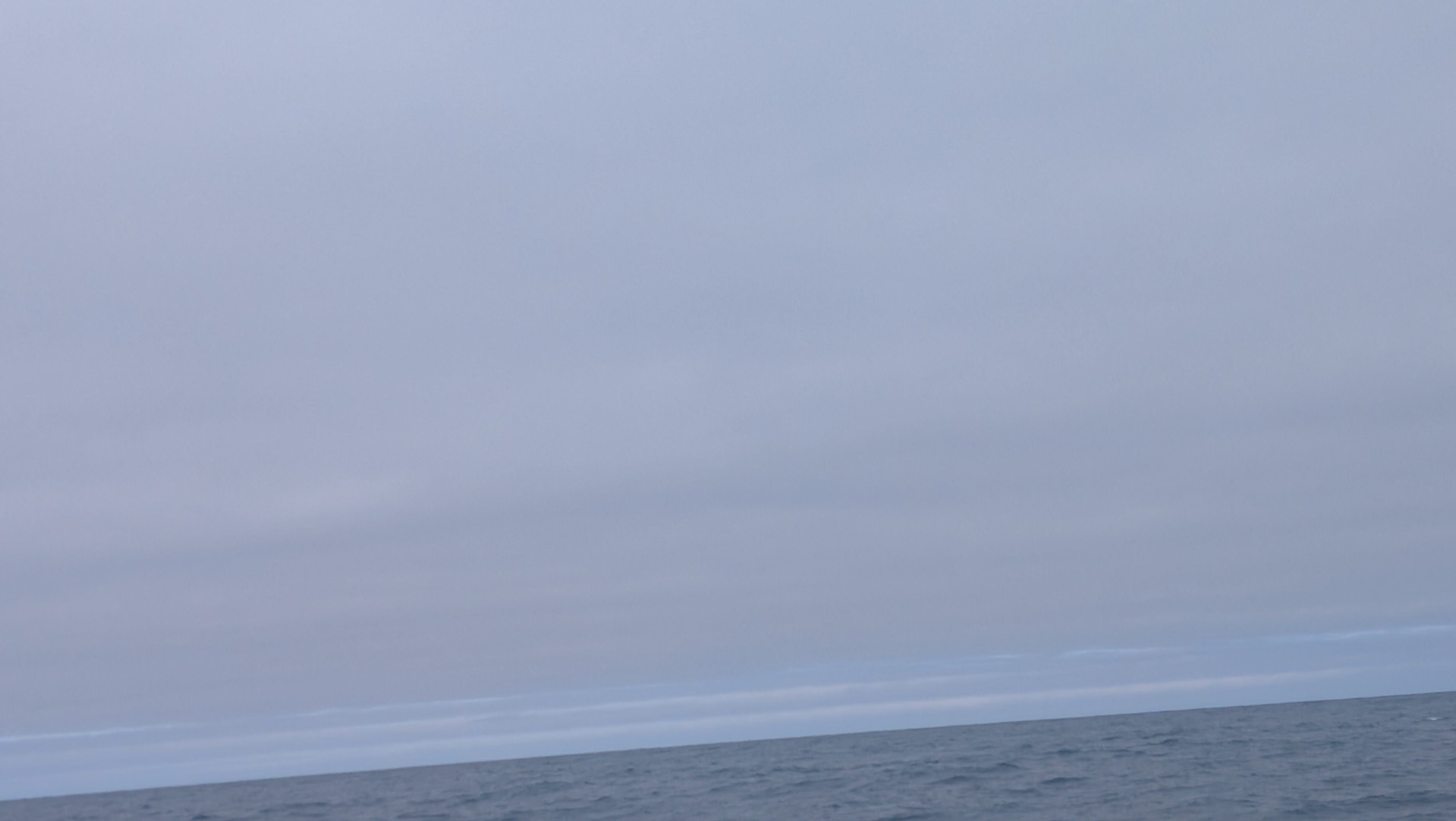 2026 06 21 10 31 45 Island