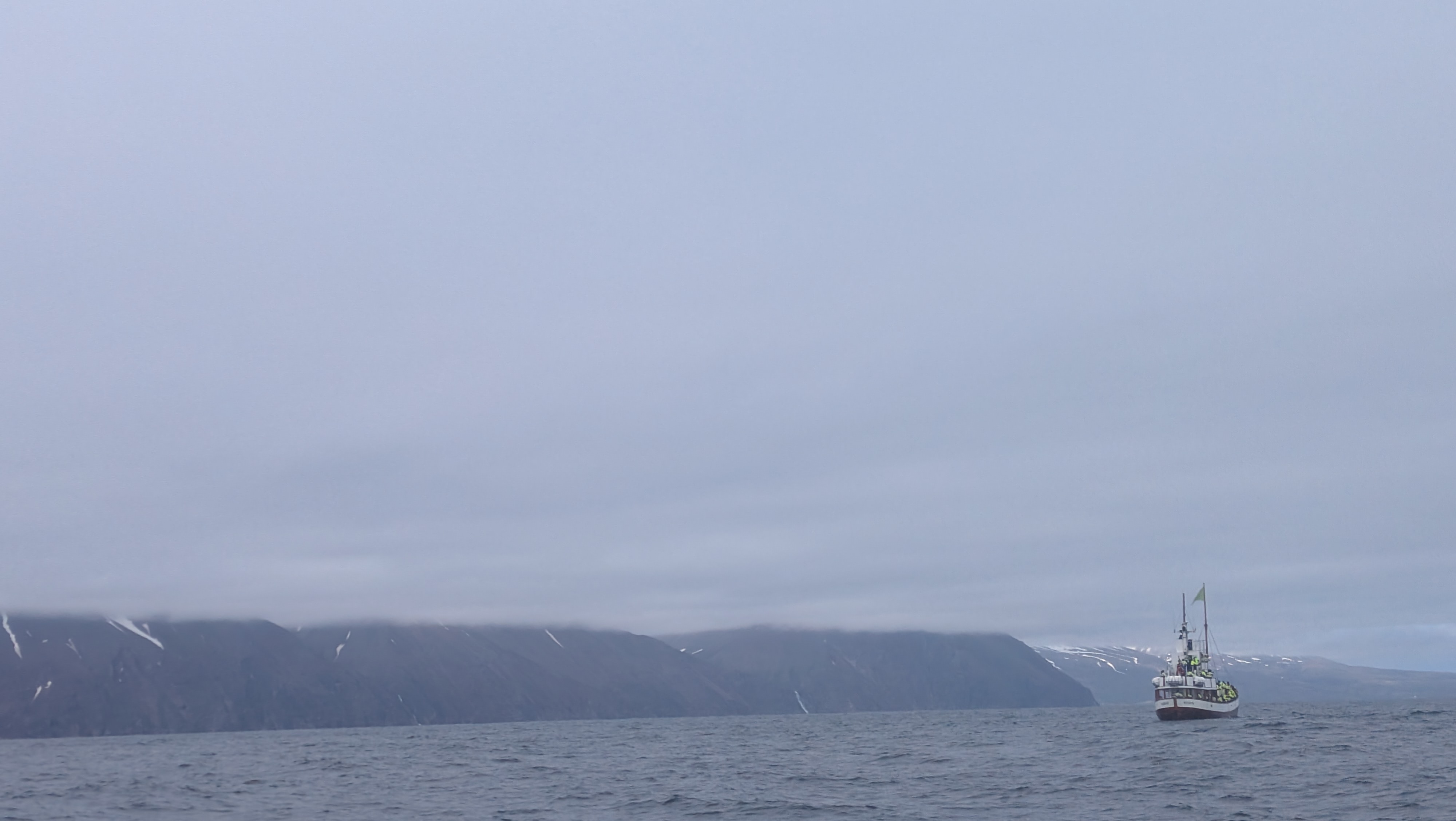 2026 06 21 10 59 47 Island