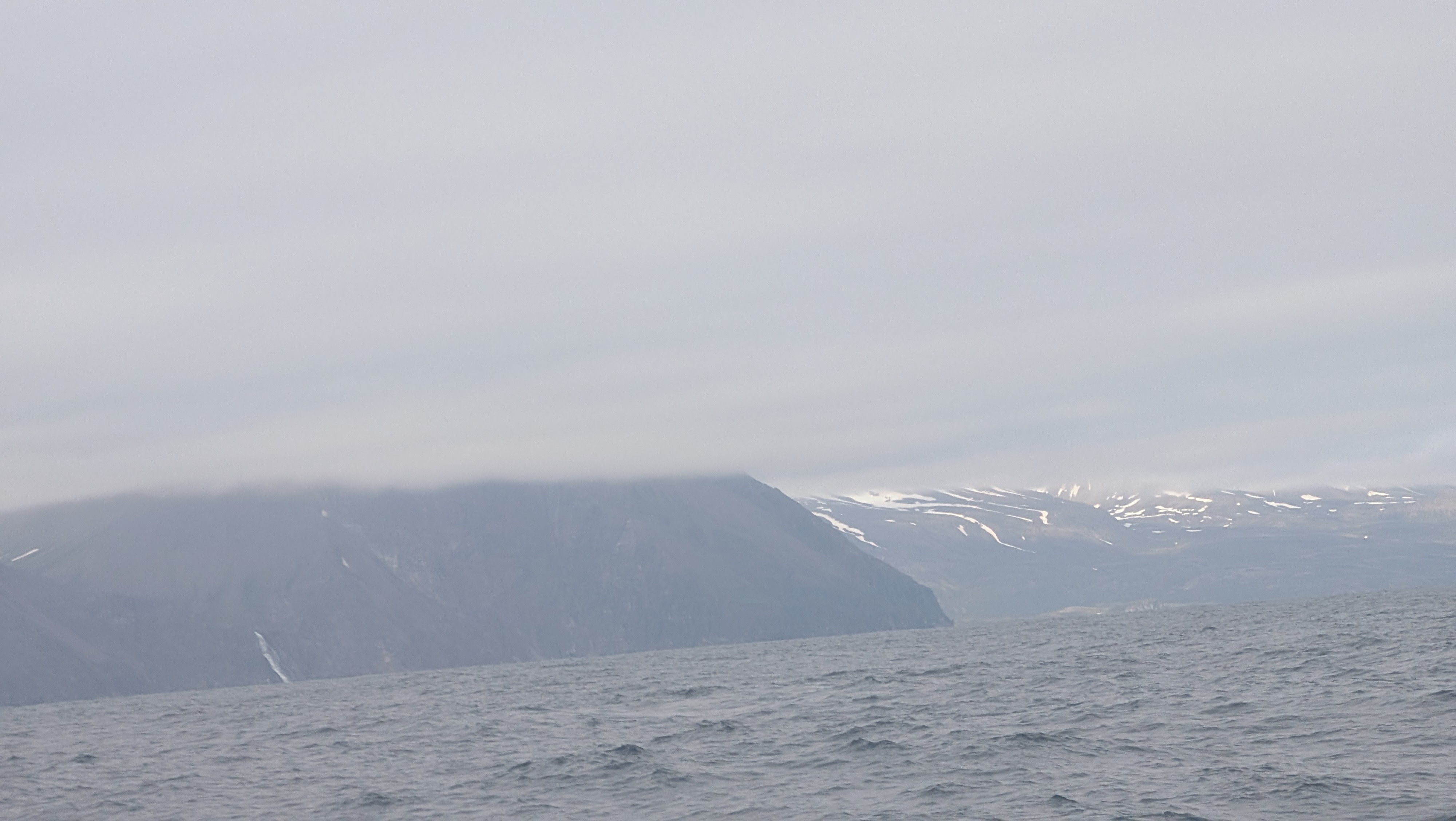 2026 06 21 11 00 39 Island