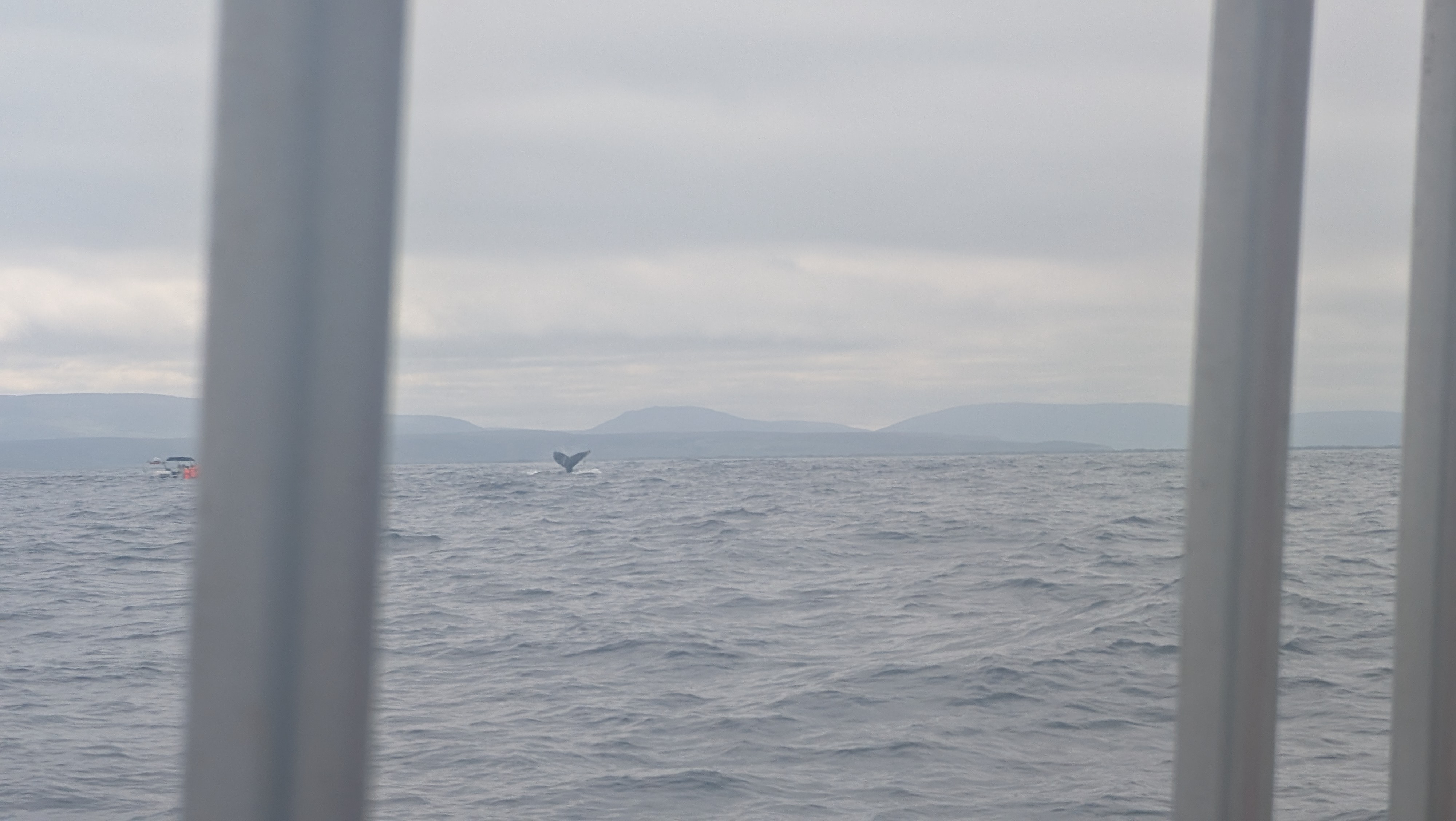 2026 06 21 11 07 52 GPS 66p081 M17p588