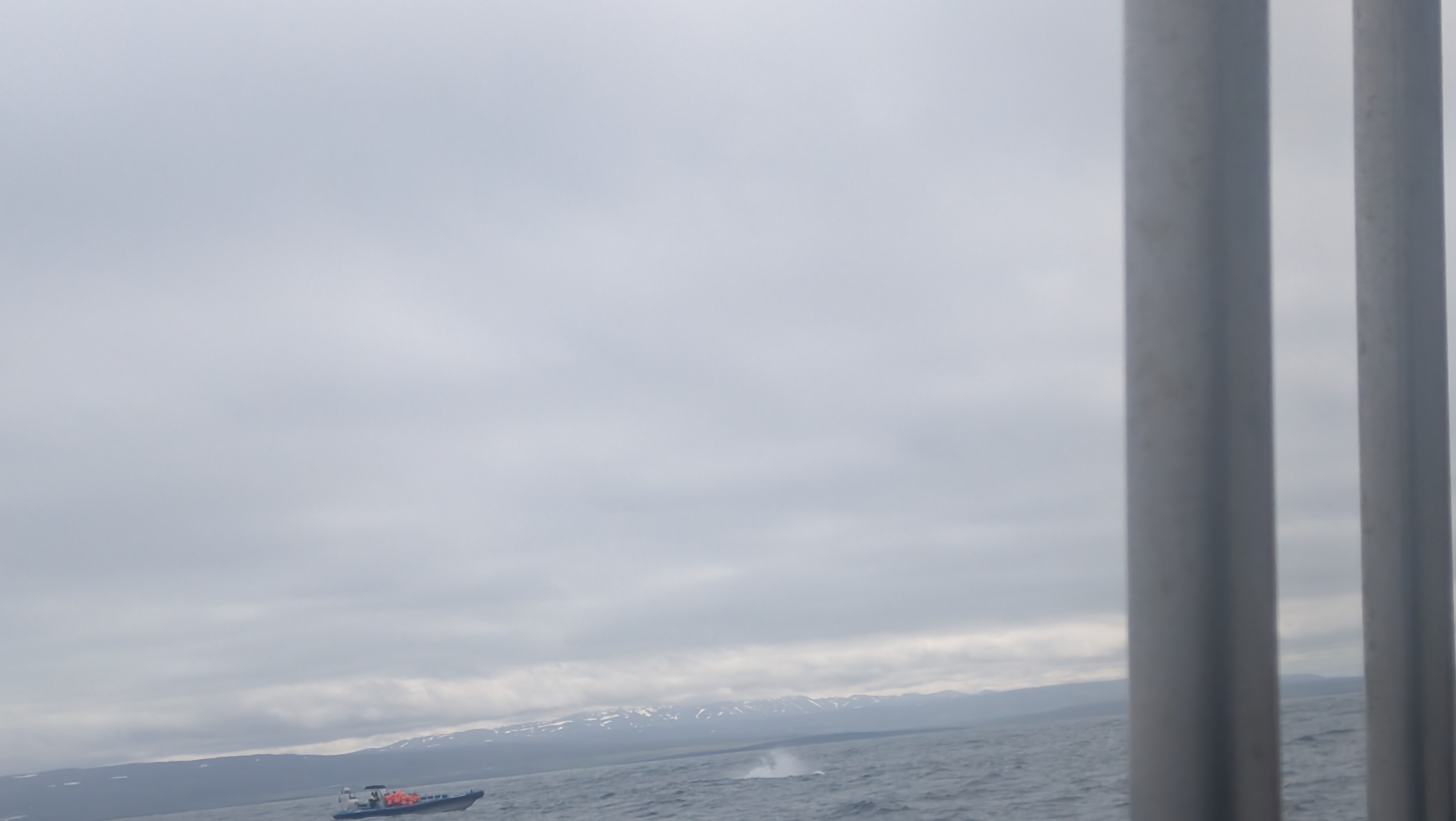 2026 06 21 11 08 43 Island 002