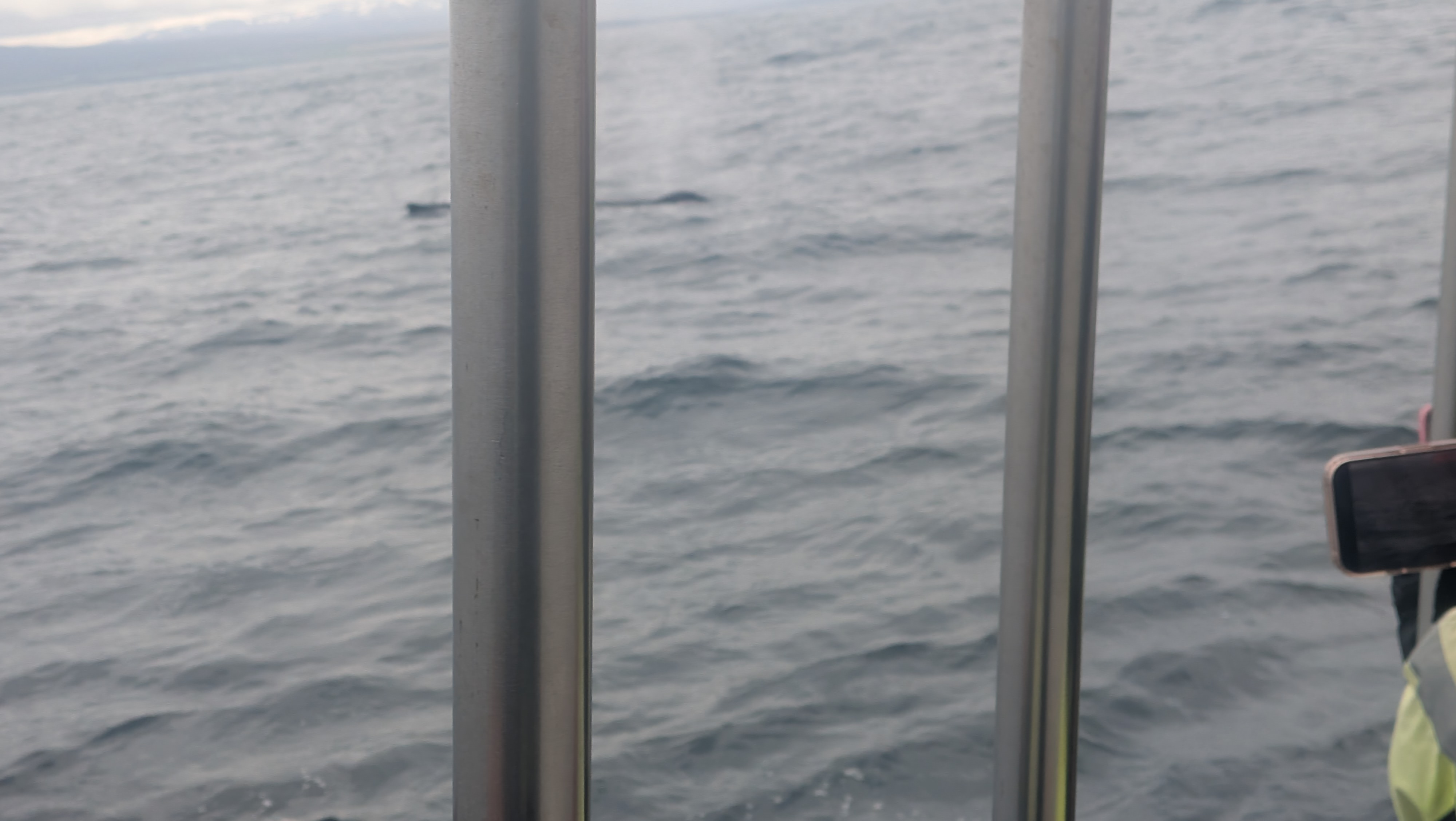 2026 06 21 11 10 13 Island