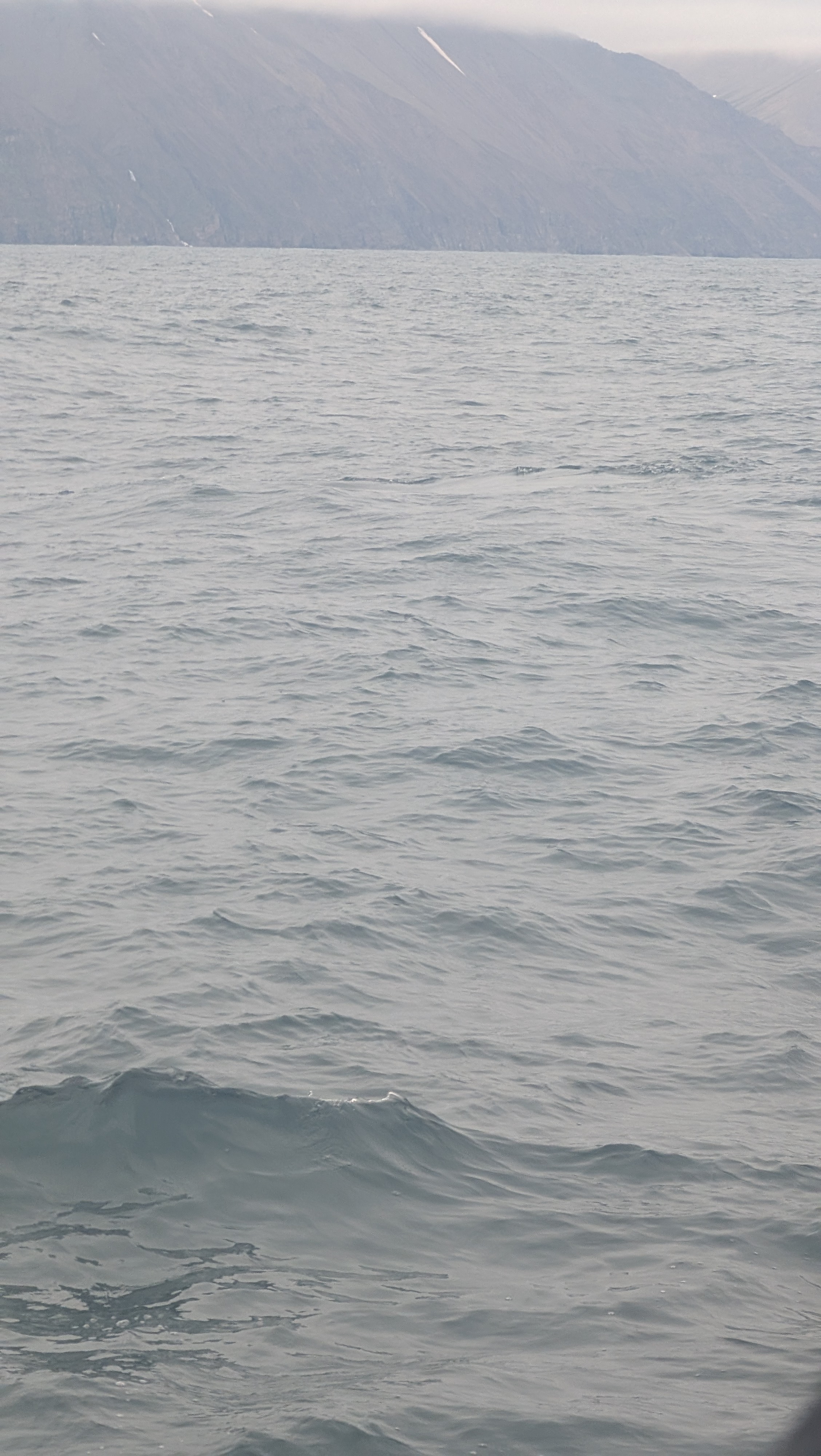 2026 06 21 11 11 54 Island